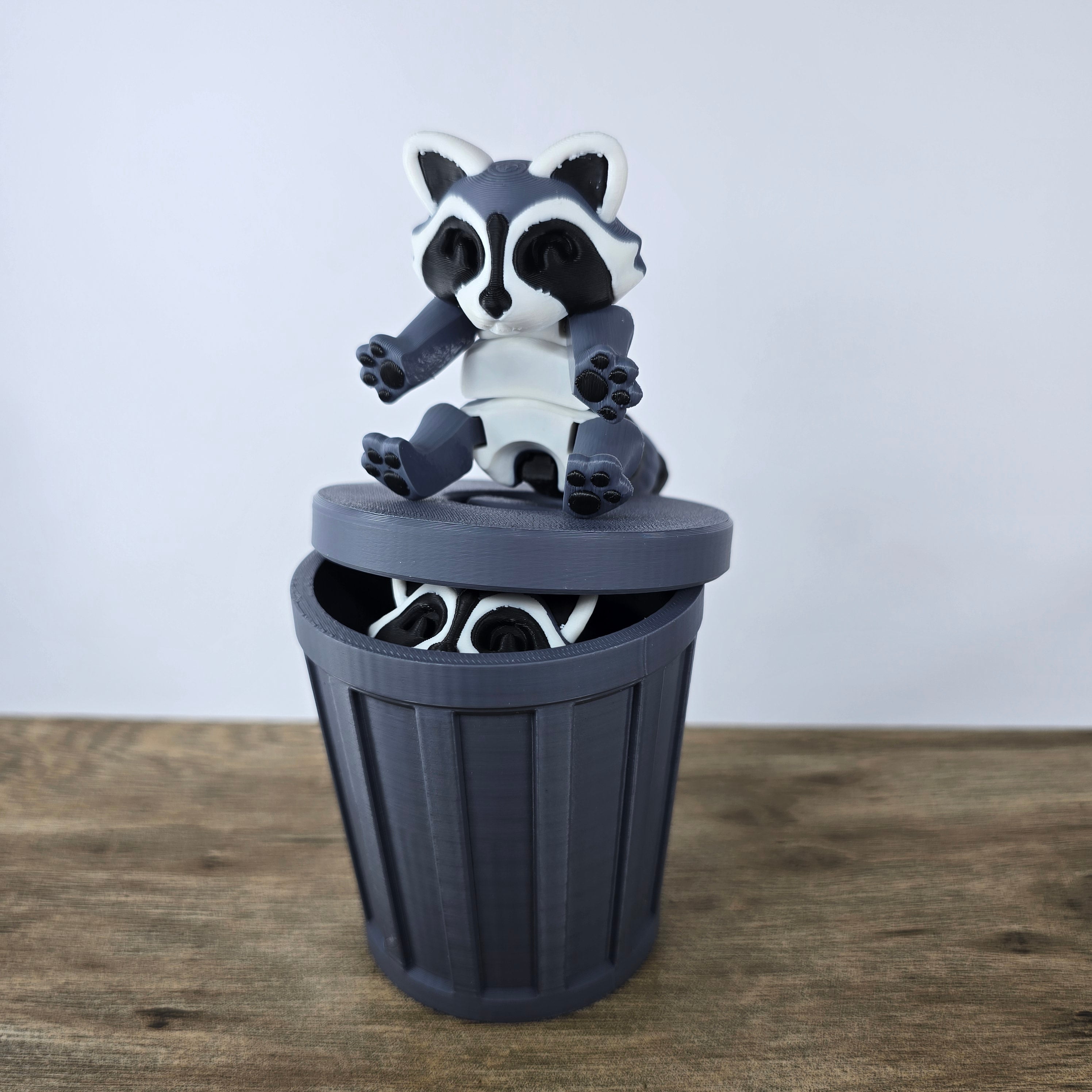 Trash Panda (Racoon)