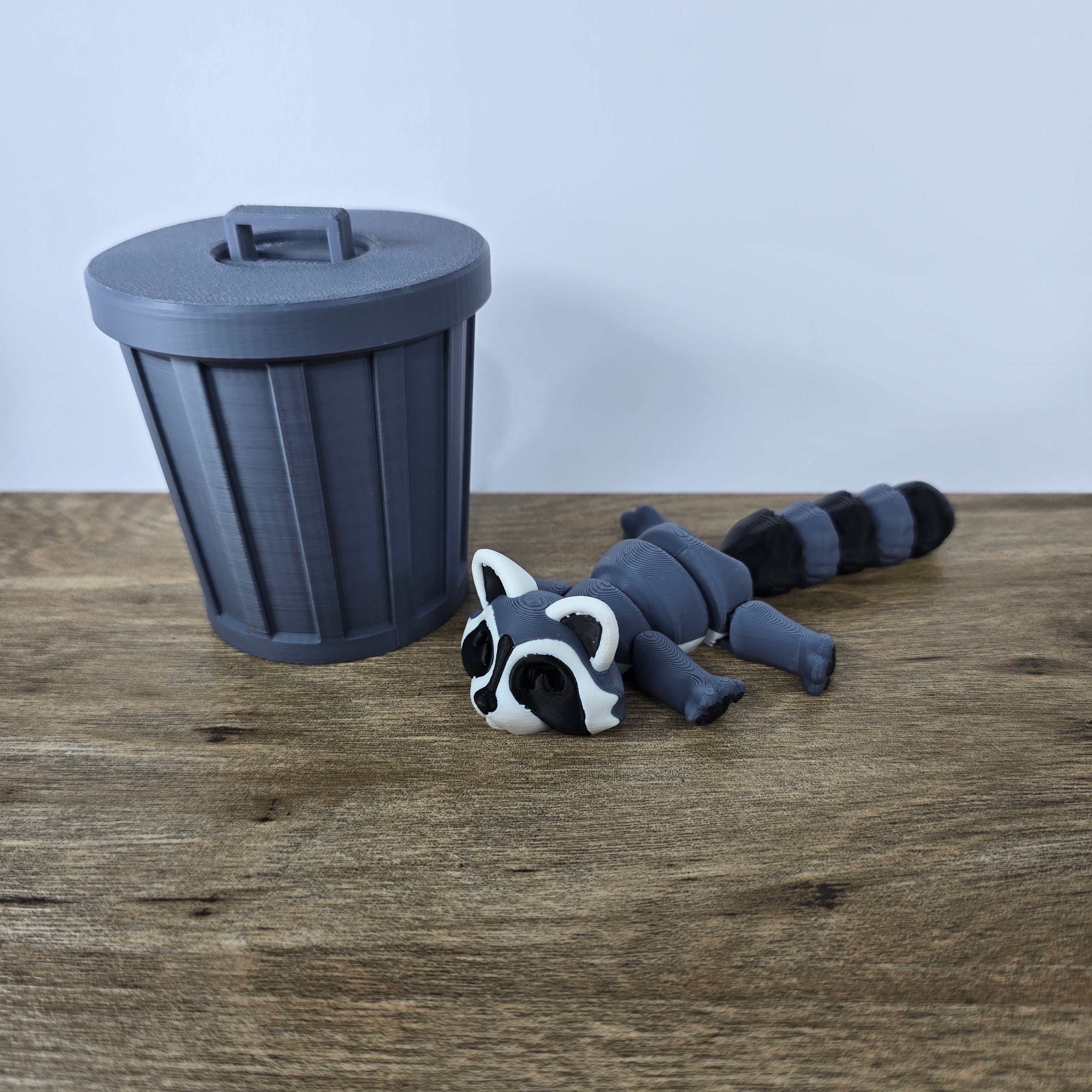 Trash Panda (Racoon)