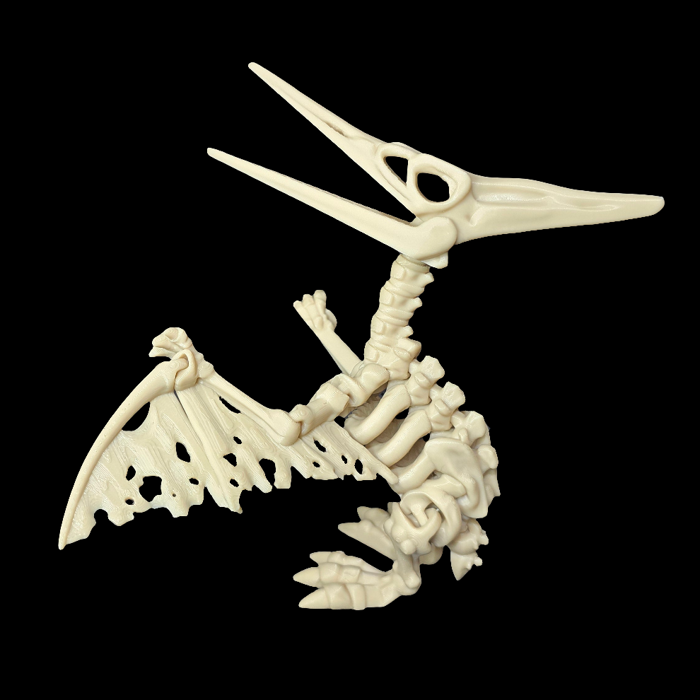 Skeleton Pteranodon