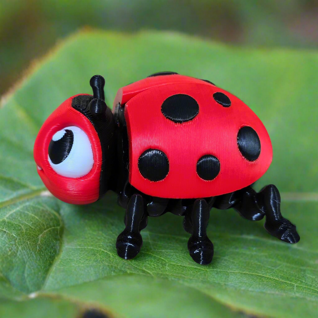 Ladybug