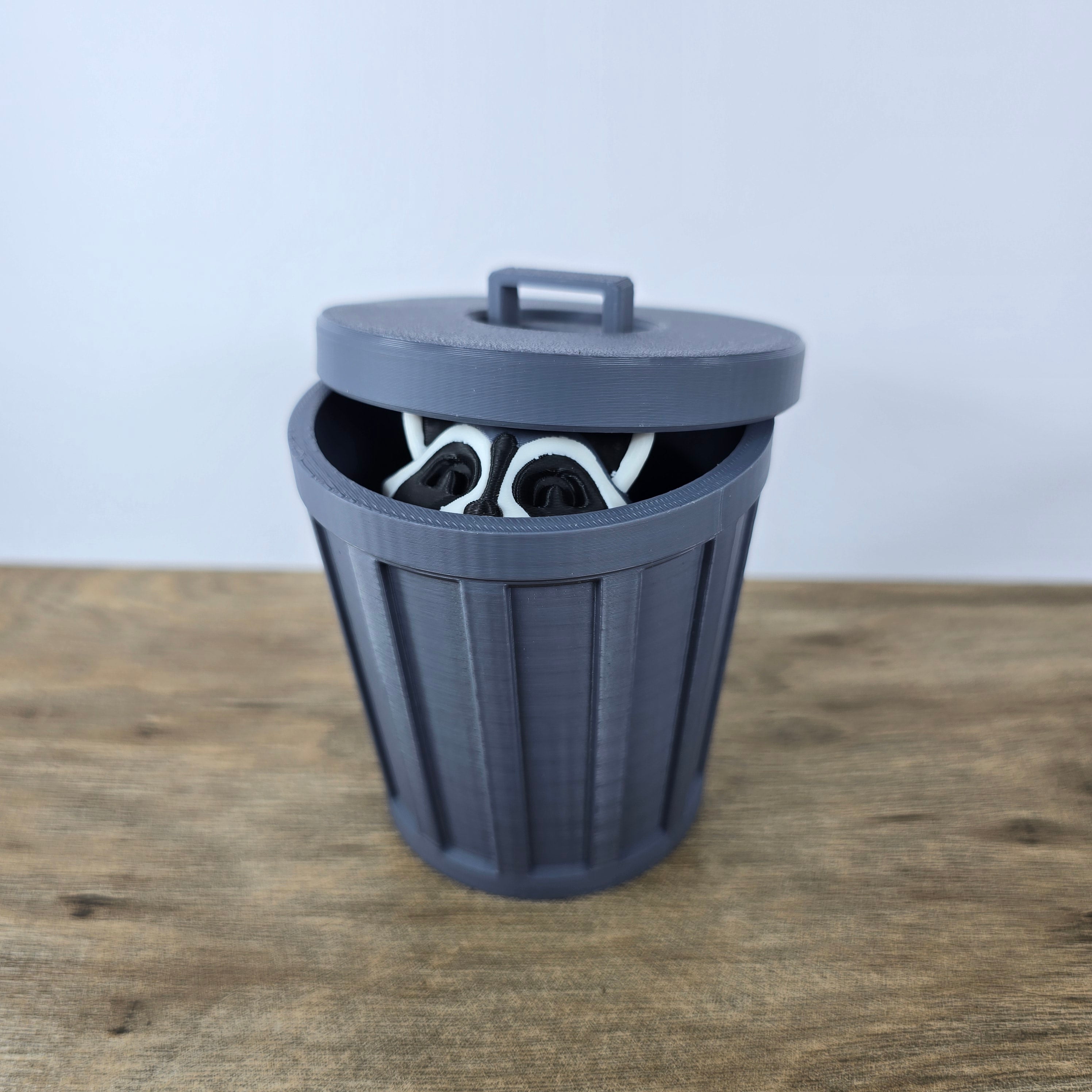 Trash Panda (Racoon)