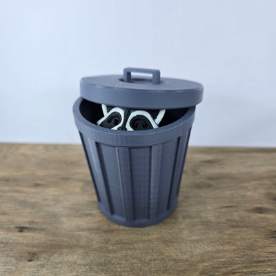 Trash Panda (Racoon)
