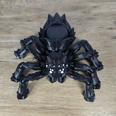 Spinnerback Spider